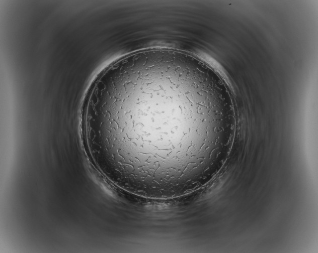 X0000087321051200704201107