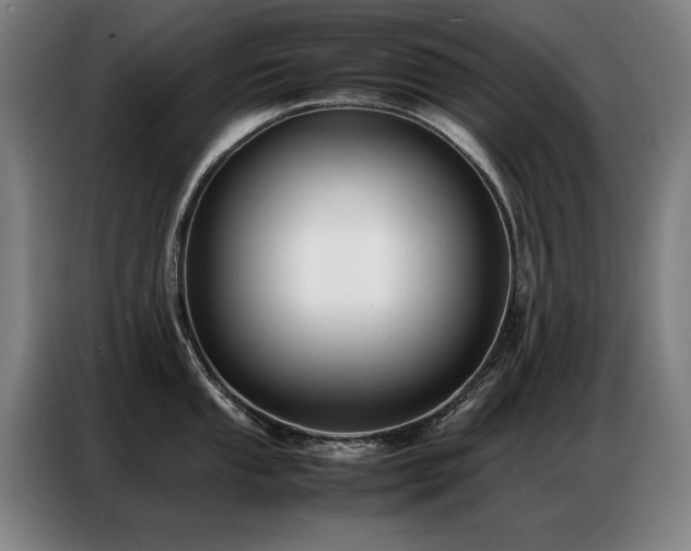 X0000087321053200704201107