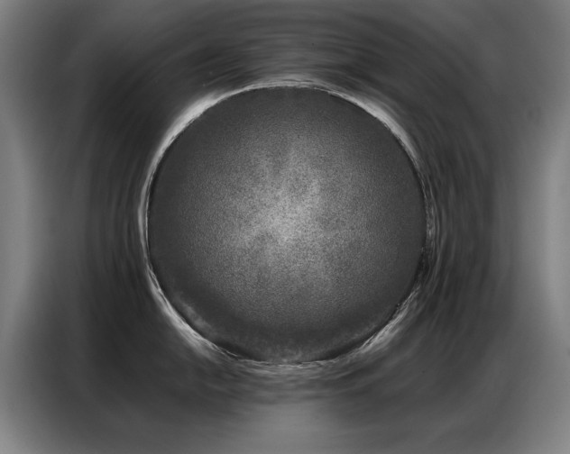 X0000087321054200704201107