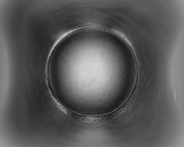 X0000087321056200704201107
