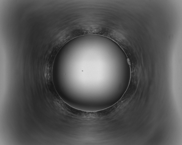 X0000087321058200704201106
