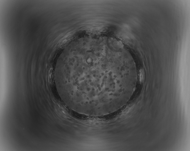 X0000087321059200704201106