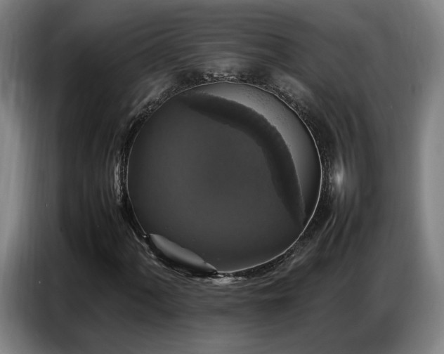 X0000087321060200704201106