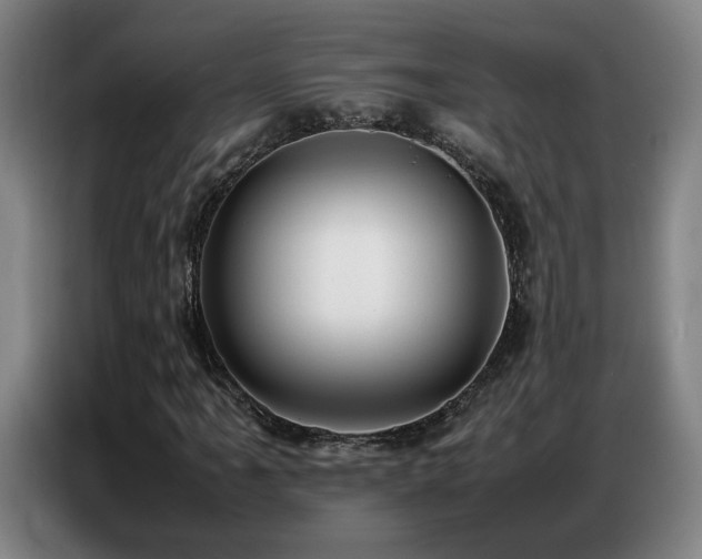 X0000087321061200704201106