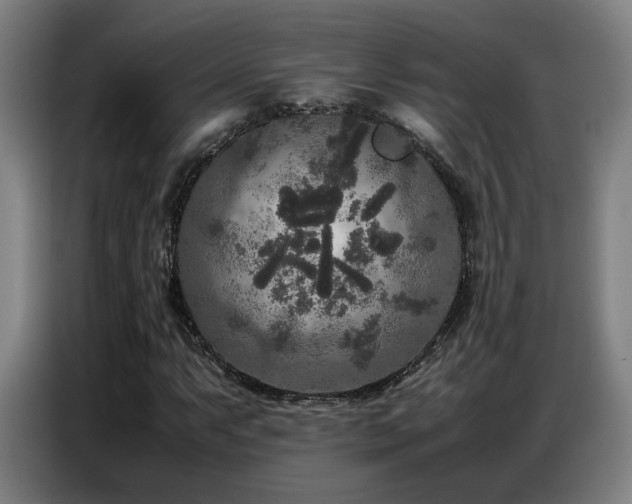 X0000087321063200704201106