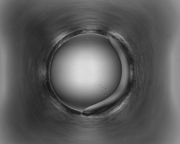 X0000087321065200704201106