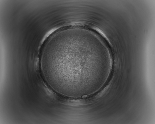 X0000087321066200704201106