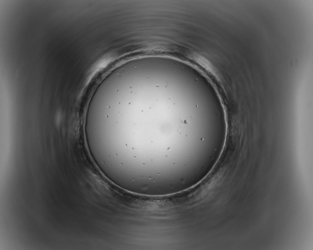 X0000087321067200704201106