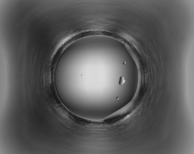X0000087321069200704201106