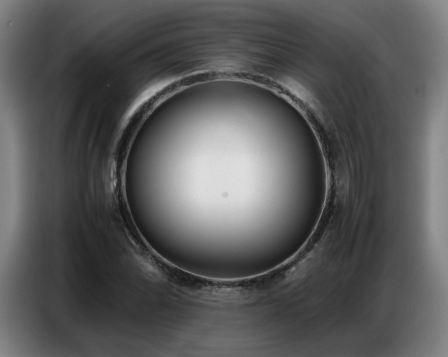 X0000087321070200704201106
