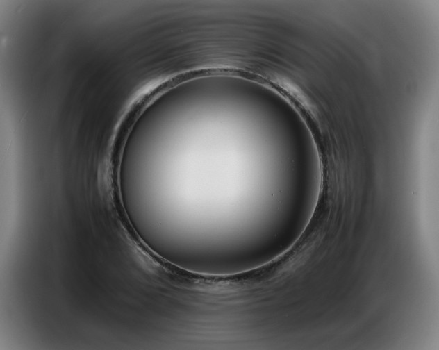 X0000087321072200704201106