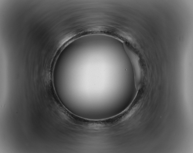 X0000087321073200704201106
