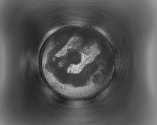 X0000087321074200704201106