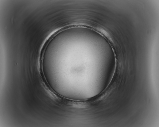 X0000087321076200704201106