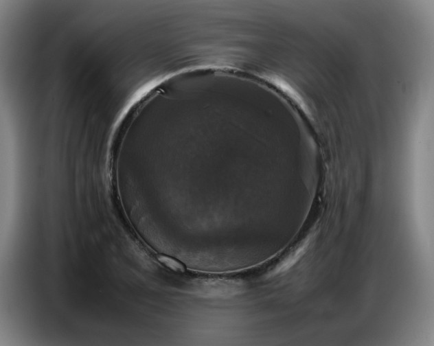 X0000087321077200704201106