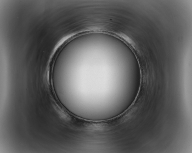 X0000087321078200704201106
