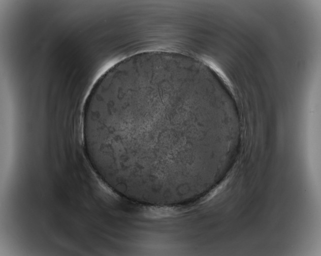X0000087321079200704201106