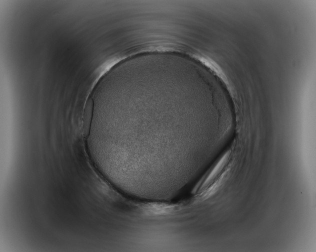 X0000087321081200704201106