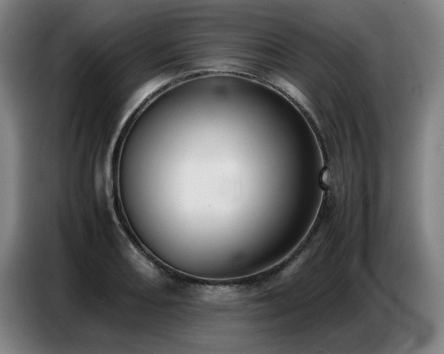 X0000087321082200704201106