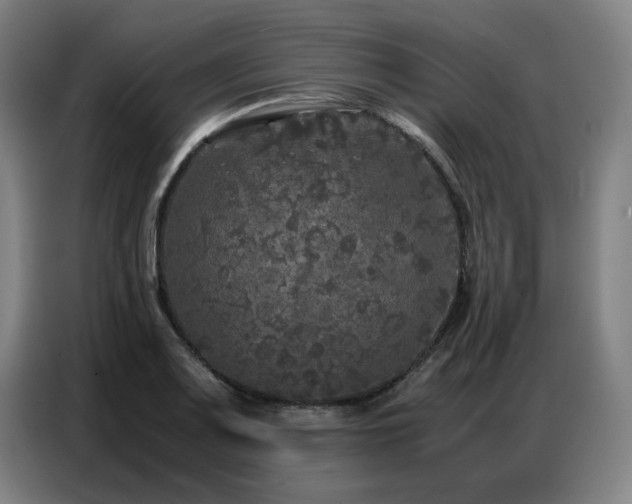 X0000087321083200704201106