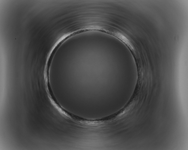 X0000087321084200704201106