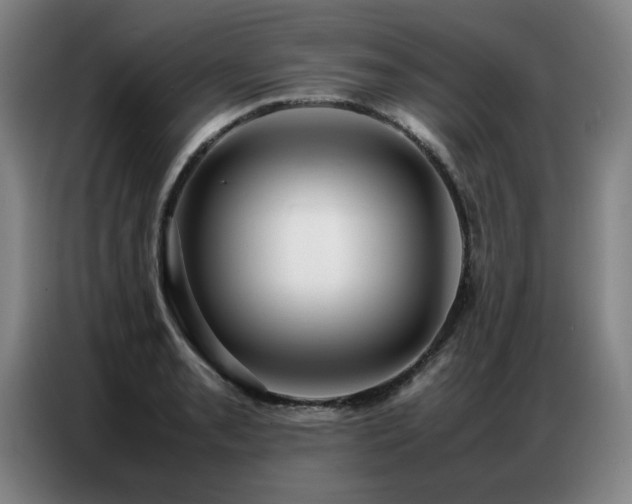 X0000087321085200704201106