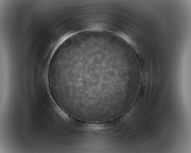 X0000087321086200704201106