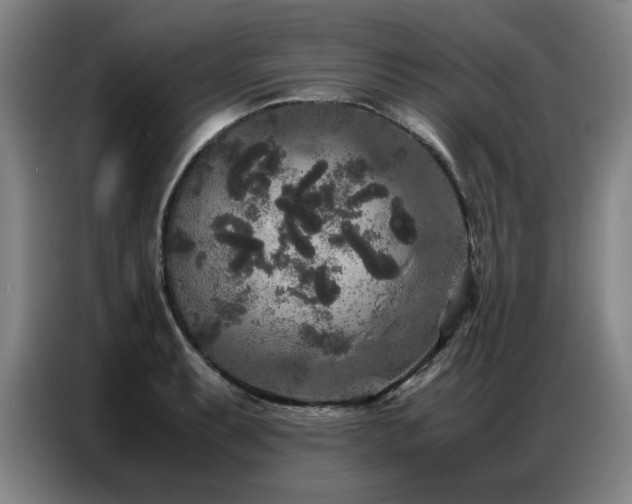 X0000087321087200704201106