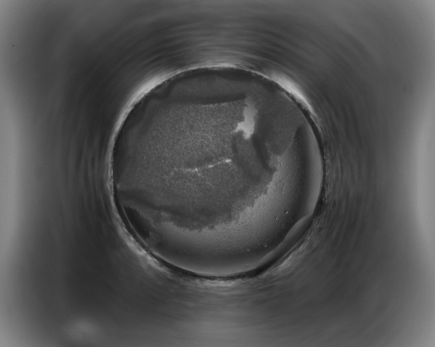 X0000087321088200704201106