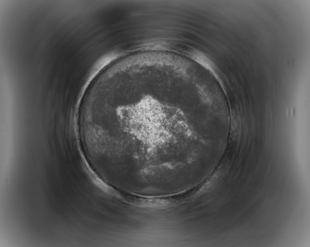 X0000087321090200704201106