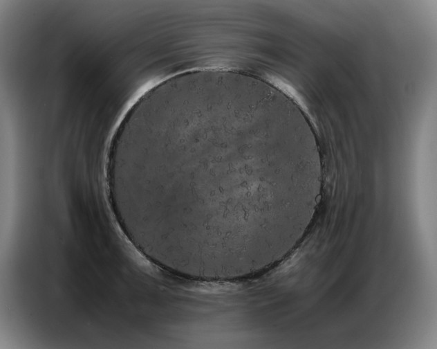 X0000087321091200704201106