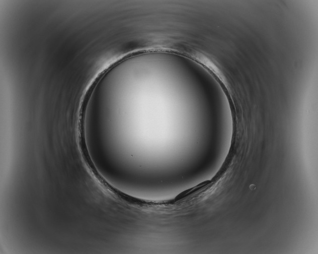 X0000087321093200704201106