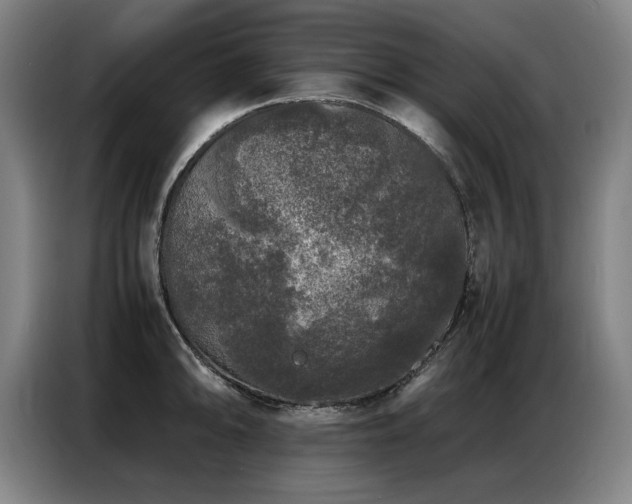 X0000087321094200704201106