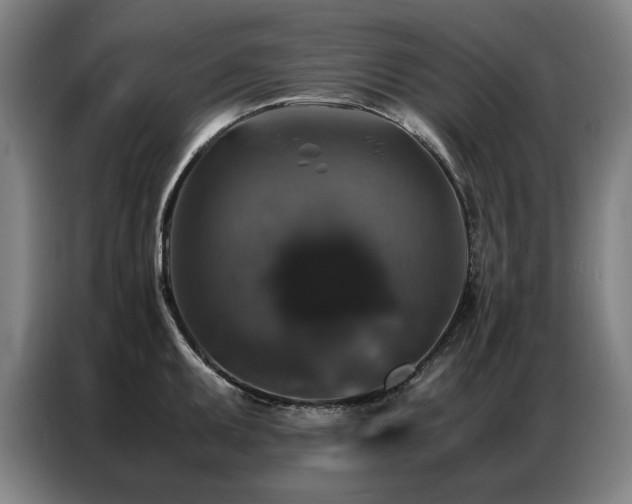 X0000087321095200704201106