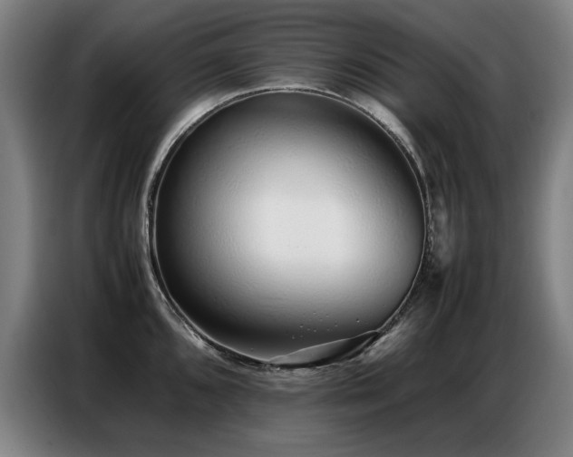 X0000087321096200704201106