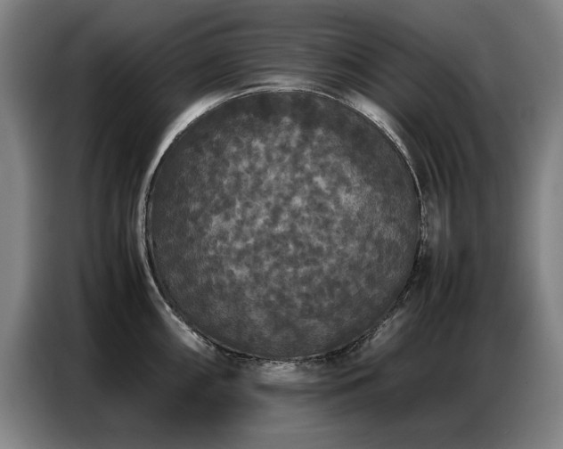 X0000087321098200704201106