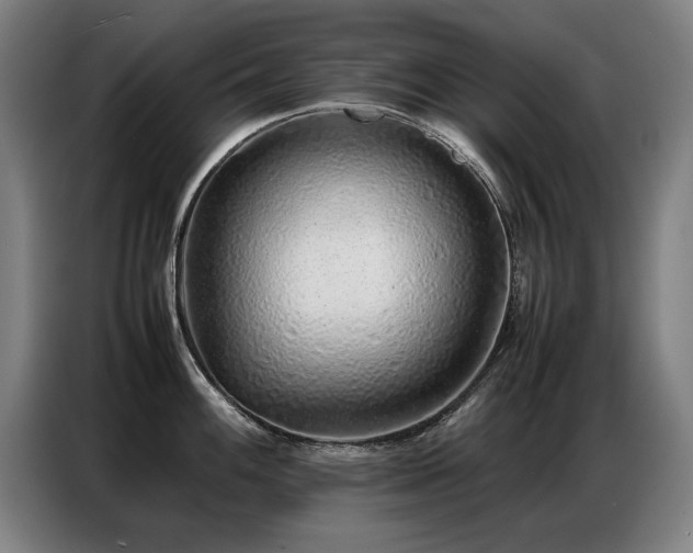 X0000087321100200704201106