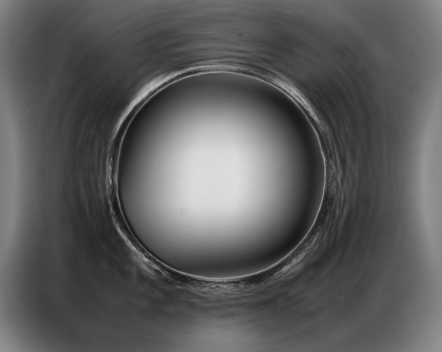 X0000087321101200704201106