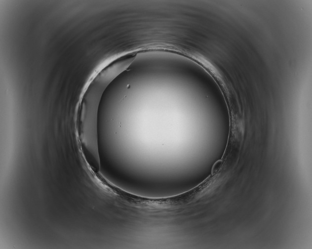 X0000087321102200704201106