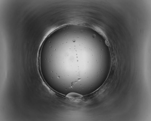 X0000087321103200704201106