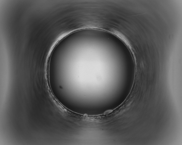 X0000087321104200704201106