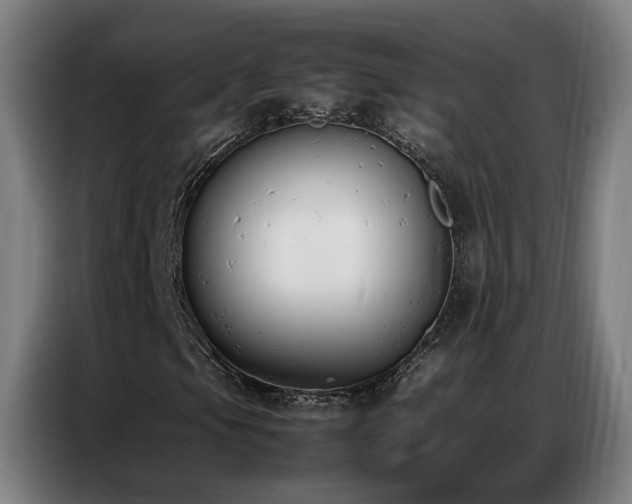 X0000087321105200704201105