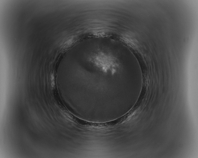 X0000087321106200704201105
