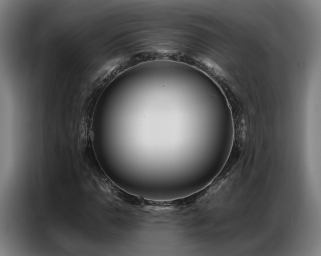X0000087321110200704201105