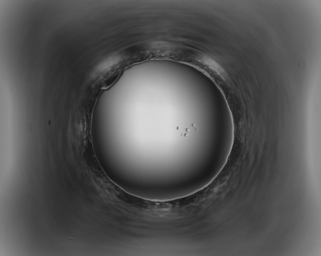 X0000087321111200704201105