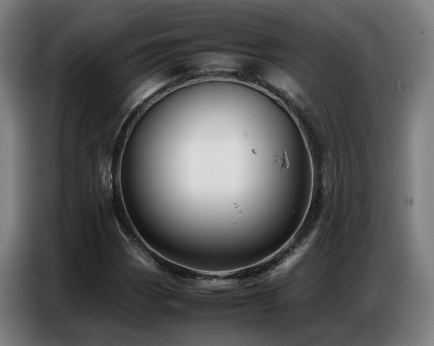 X0000087321113200704201105
