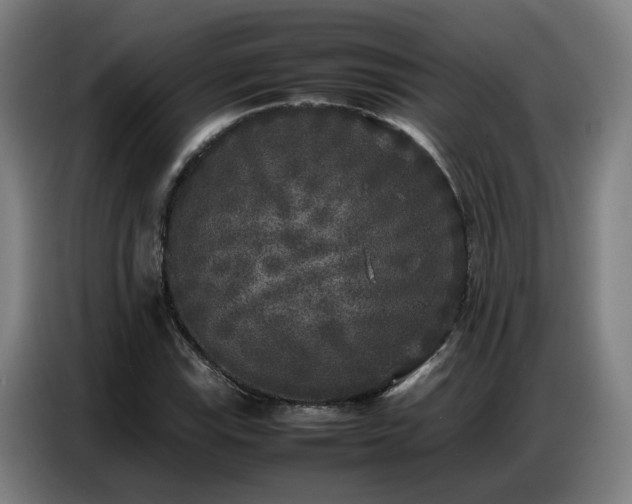 X0000087321115200704201105