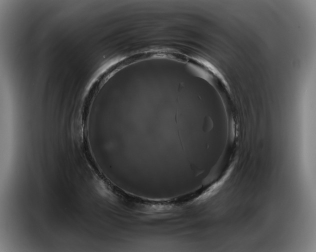 X0000087321117200704201105