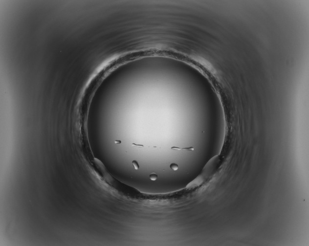 X0000087321118200704201105