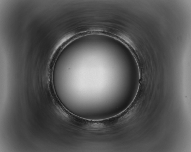 X0000087321119200704201105